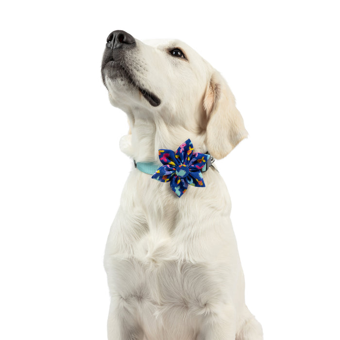 Dog wearing a blue fish-themed pinwheel accessory featuring Something Fishy Pinwheel.