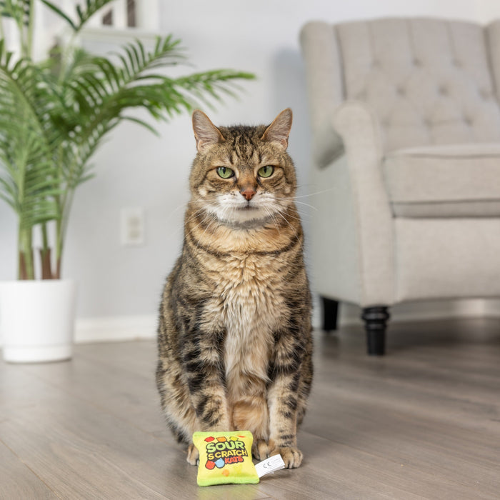 Sour Scratch Kats Cat Toy