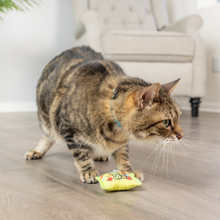 Sour Scratch Kats Cat Toy