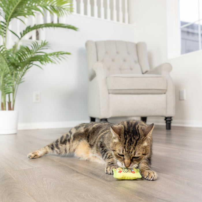 Sour Scratch Kats Cat Toy