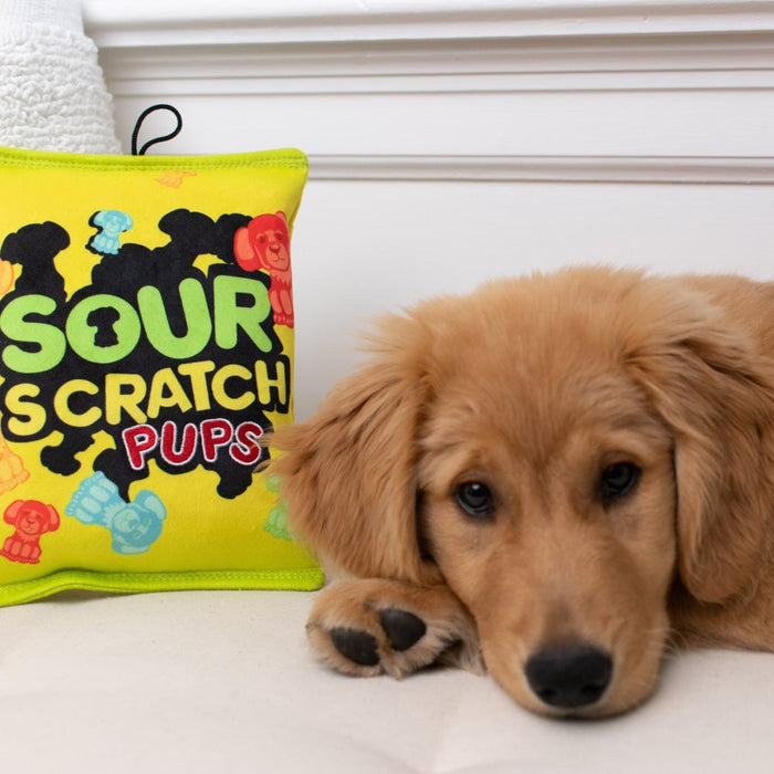 Dog with Sour Scratch Pups featuring Sour Scratch Pups (Double Sided).