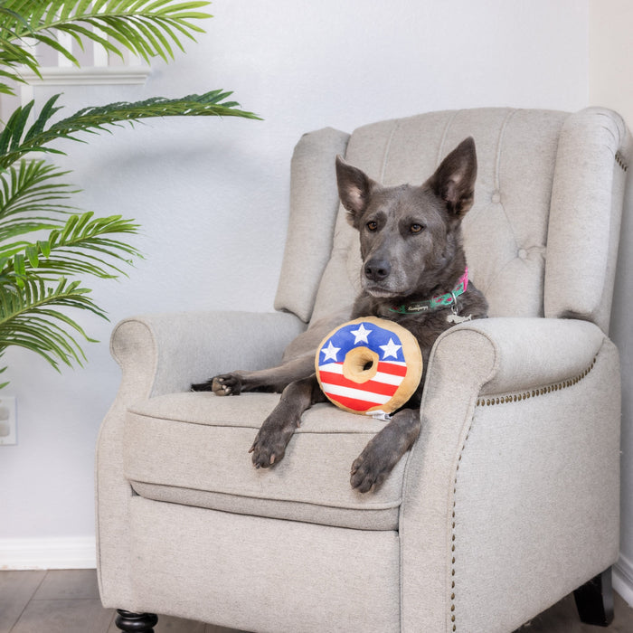Cat with Stars & Stripes Donut on a chair.