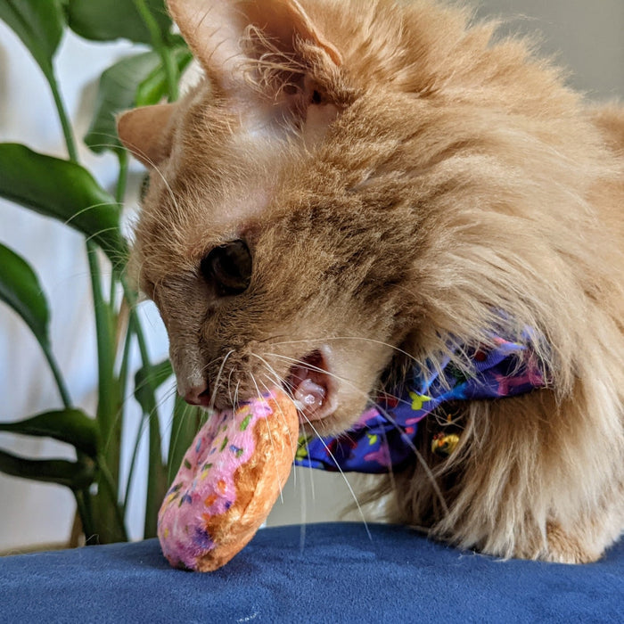 Cat with Strawberry Donut Cat Toy.