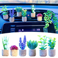 Succulent Air Freshner Vent Clips (set of 6)