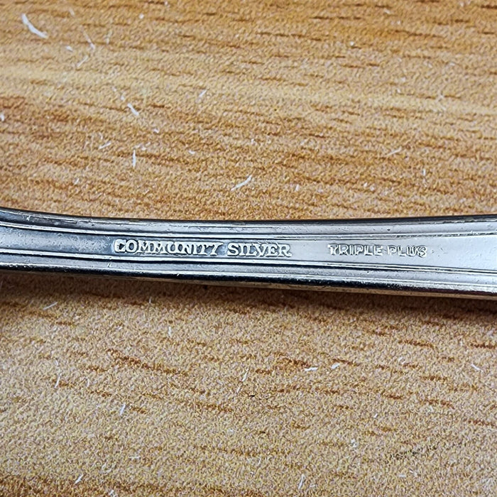 Sugar Spoon Avalon Silverplate 1901 by Oneida Flatware 6" (15cm)
