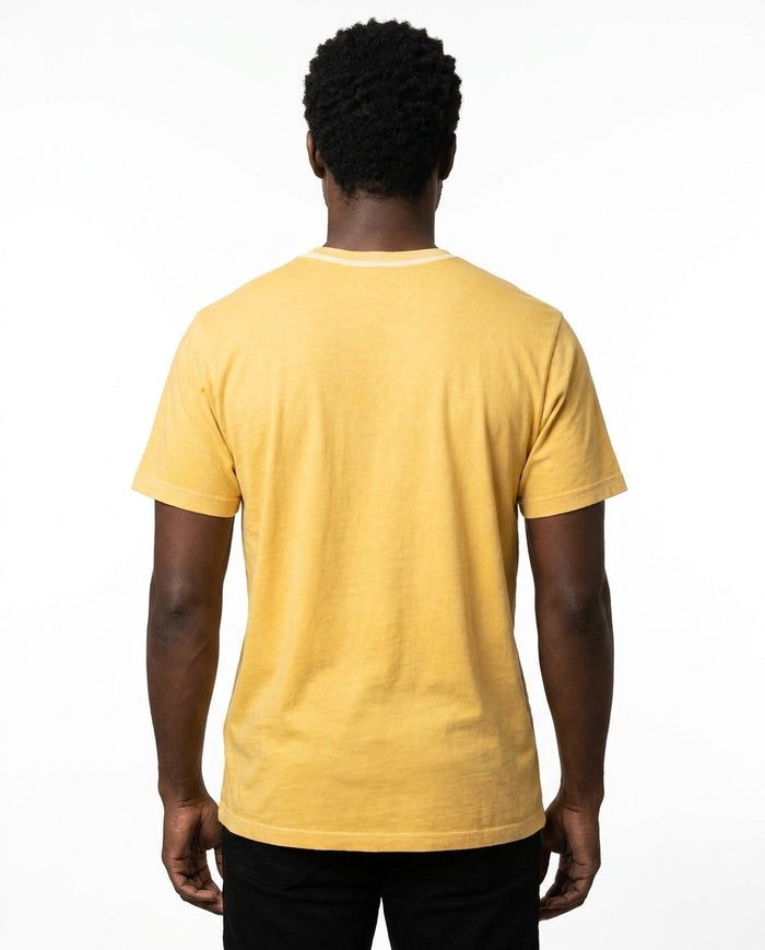 Sunflower T101 3-Pack