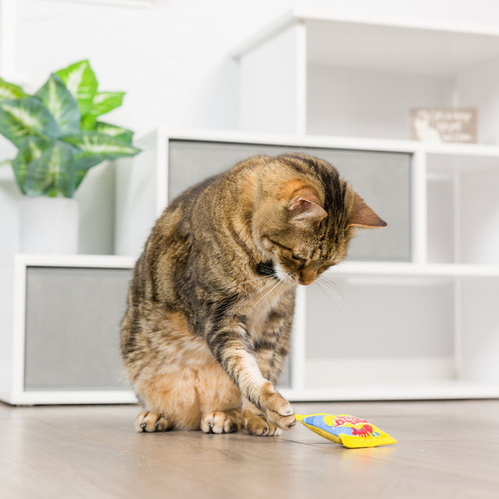 Cat with Sweetest Fish Cat Toy.