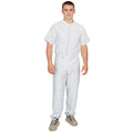 The Warriors Furies Pinstriped Baseball Jersey Pants