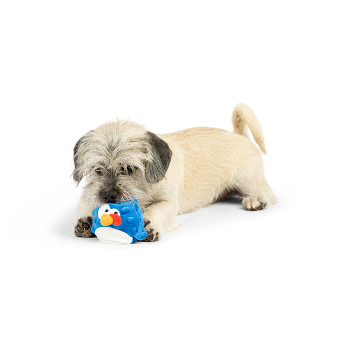 Dog with Tiny Tuff Chicken Gordon Bleu.