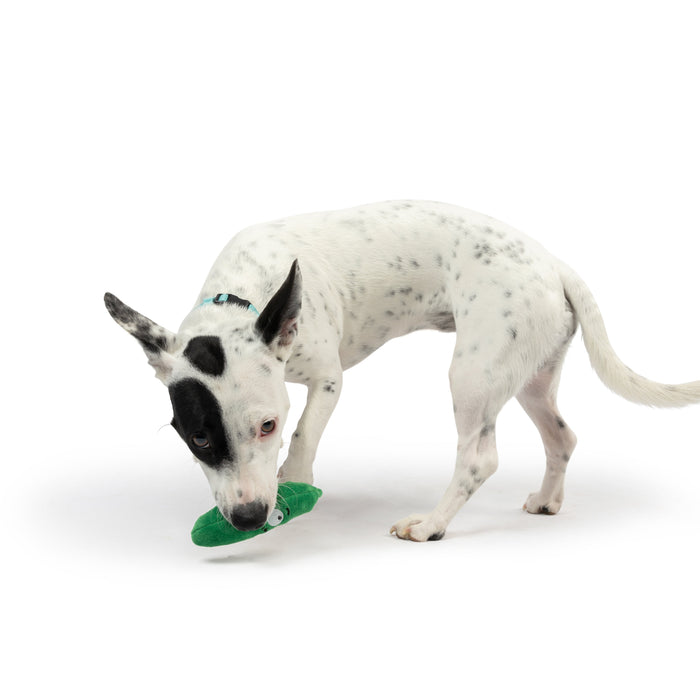 Tiny Tuff Dell Pickle