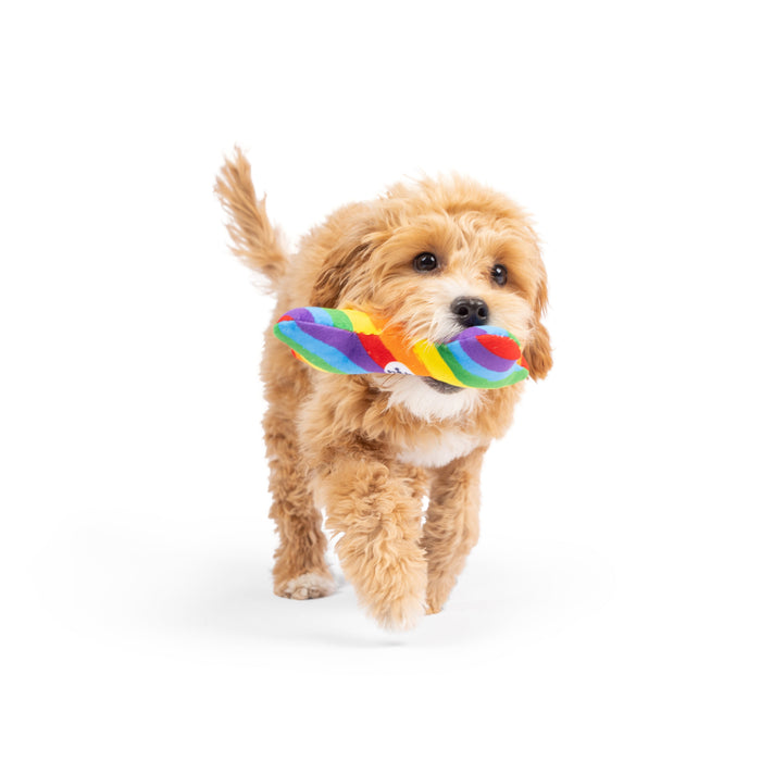 Dog with Tiny Tuff Equality Bone.
