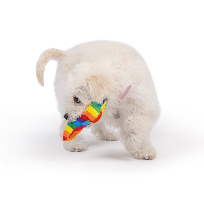 Tiny Tuff Equality Bone
