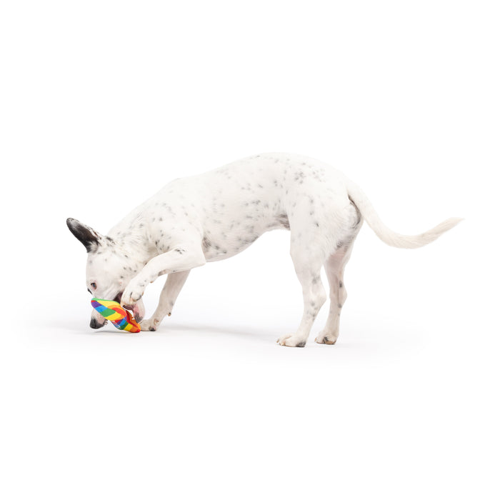 Tiny Tuff Equality Bone