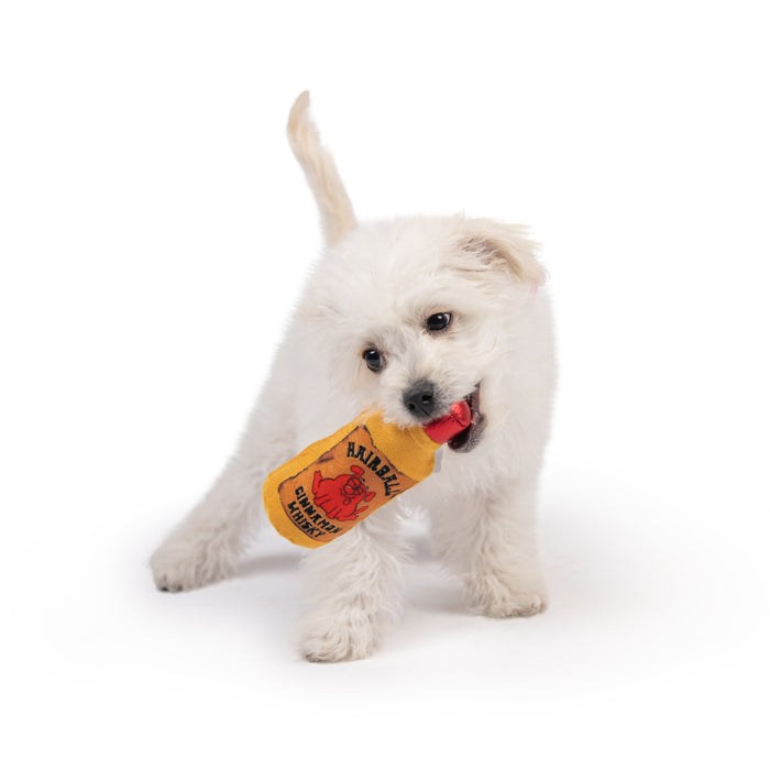 Dog with Tiny Tuff Hairball Cinnamon Whisky on a white background.
