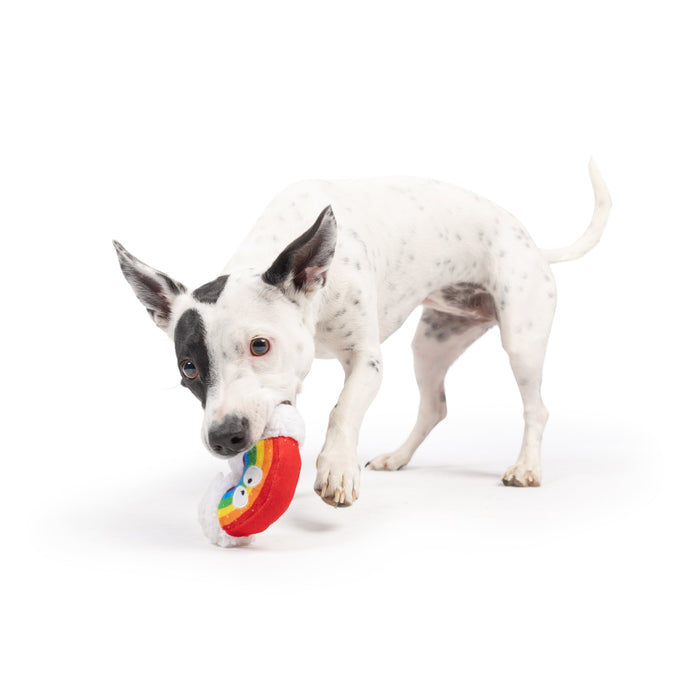 Dog with Tiny Tuff Happy Rainbow.