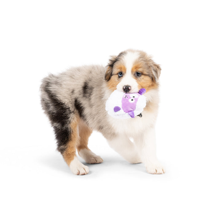 Dog with Tiny Tuff Lady Baba.
