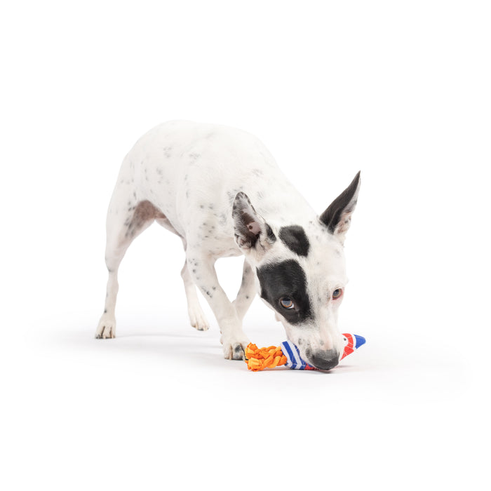 Dog with Tiny Tuff Rocket Man on a white background.