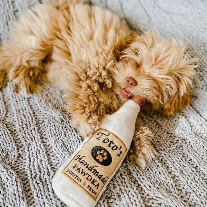 Dog with Toto’s Pawdka.