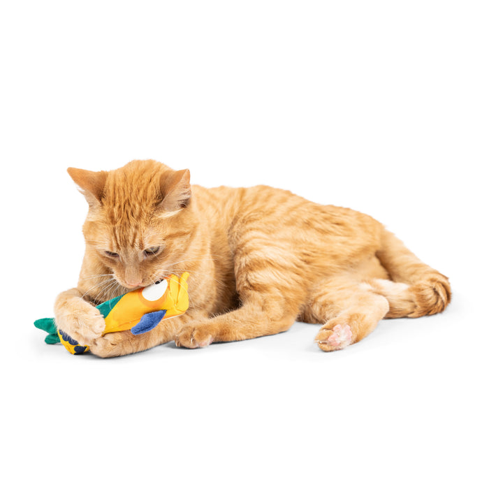 Cat with Toucan Nipper Cat Toy.