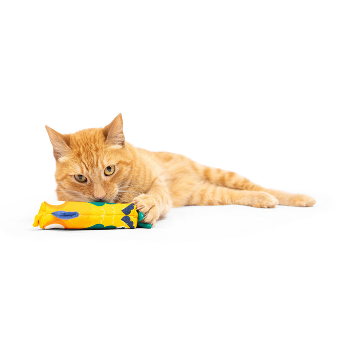 Toucan Nipper Cat Toy