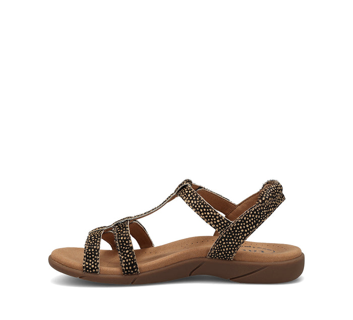 Trophy 2 - Black/Camel Spotted Multi