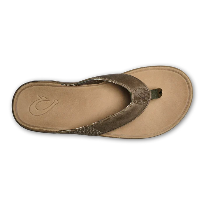 Tuahine - Hunter/Golden Sand