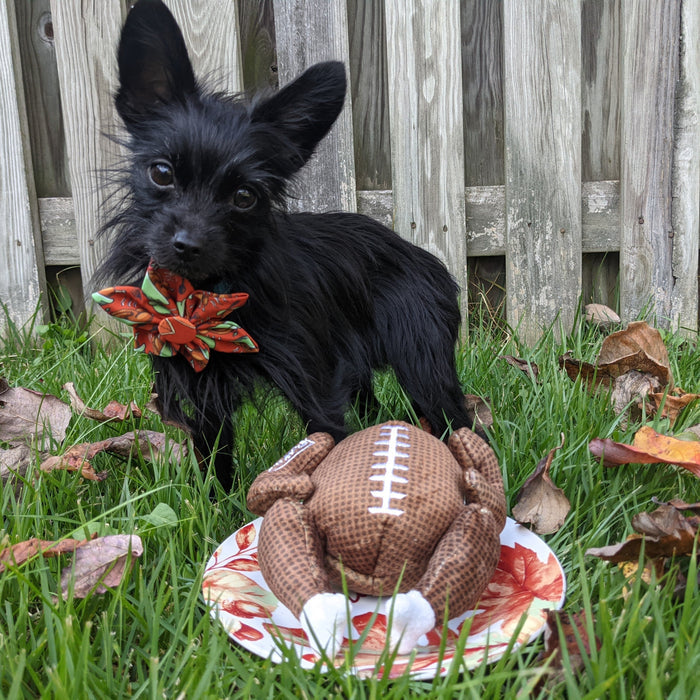 Turkey Bowl