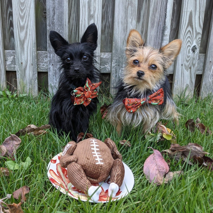 Turkey Bowl