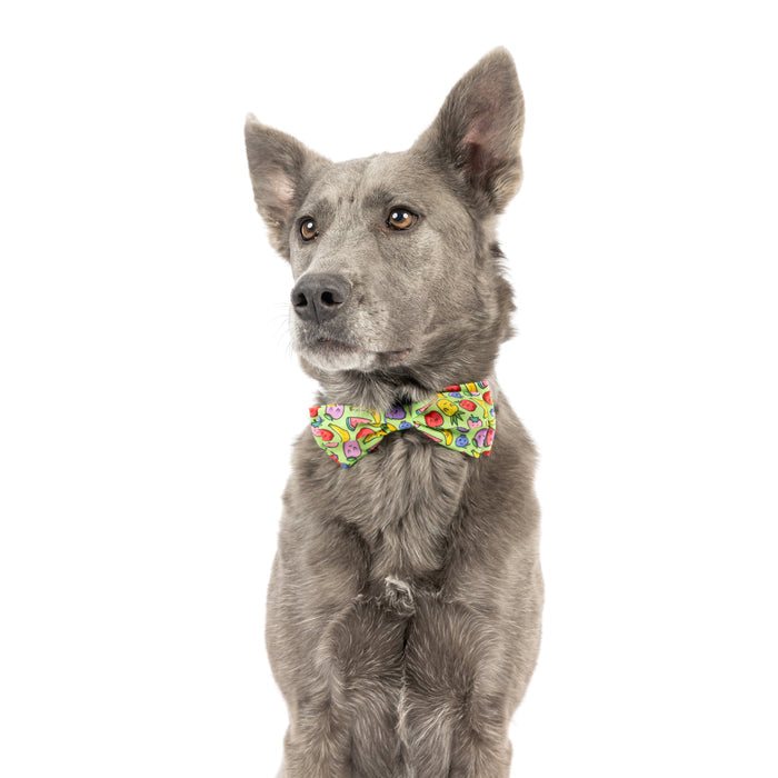 Tutti Fruity Bow Tie