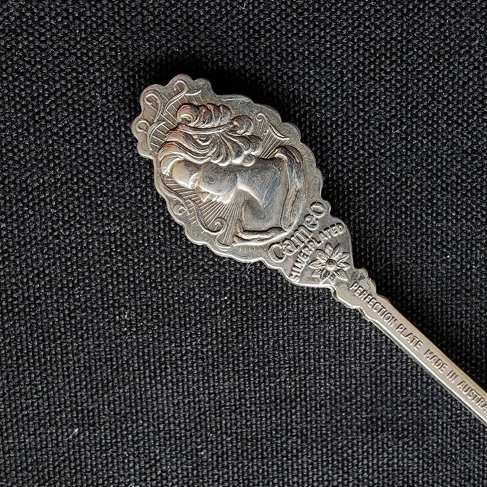 Vancouver British Columbia Collectible Travel Souvenir Spoon Silver Plated