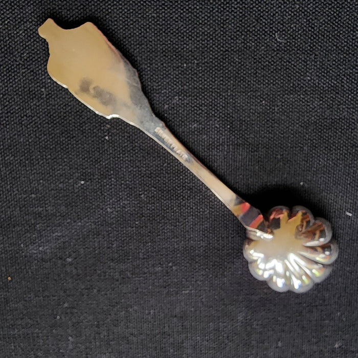 Venezuela Collectible Travel Souvenir Spoon 4.5" Latin Caribbean South American