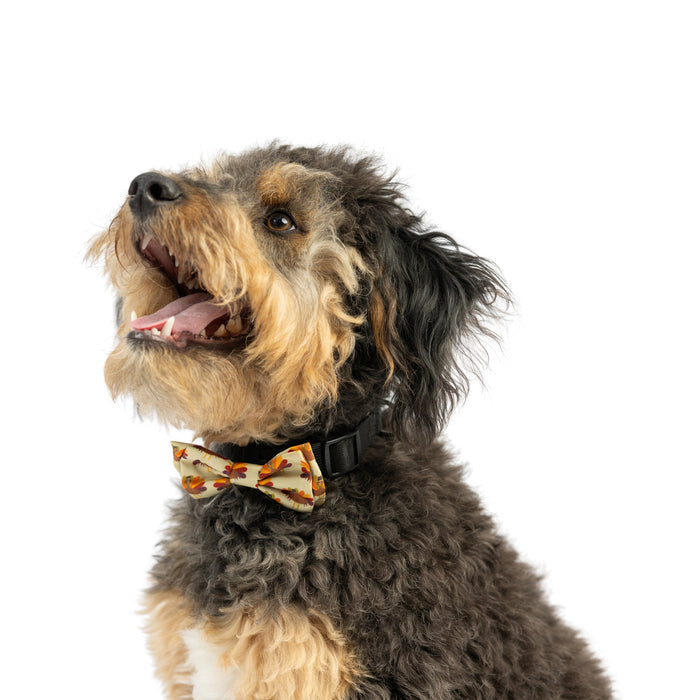 Dog wearing a What, Me Worry Turkey Bow Tie on a white background.