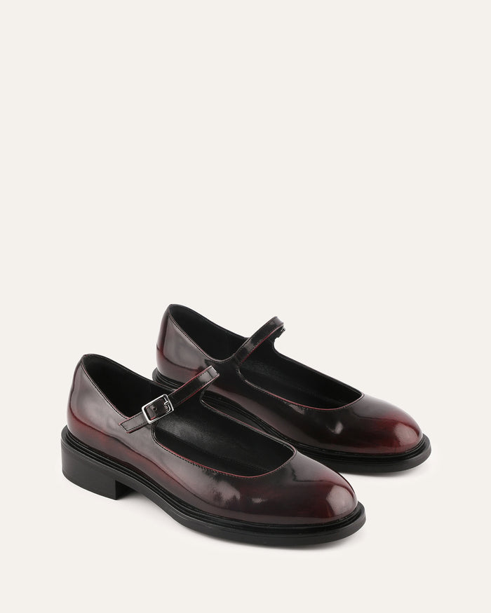 Pair of shiny black shoes with a strap on a white background