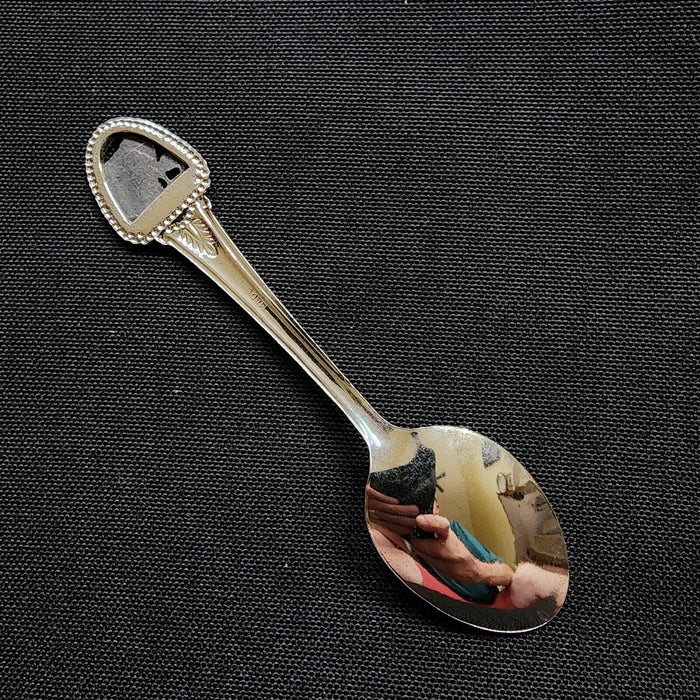 Wisconsin Badger State Collector Souvenir Spoon 4.5" (11cm)
