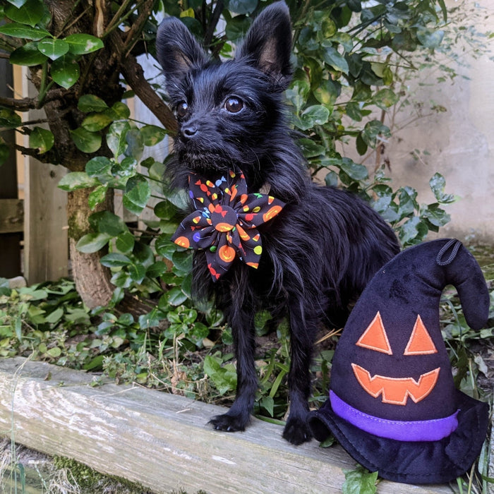 Witch Hat