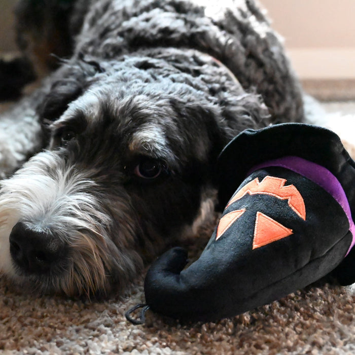 Witch Hat