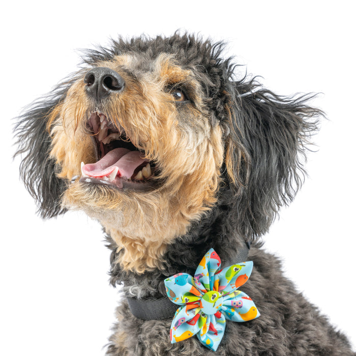 Dog wearing a colorful bird-themed pinwheel accessory featuring Yard Birds Pinwheel.
